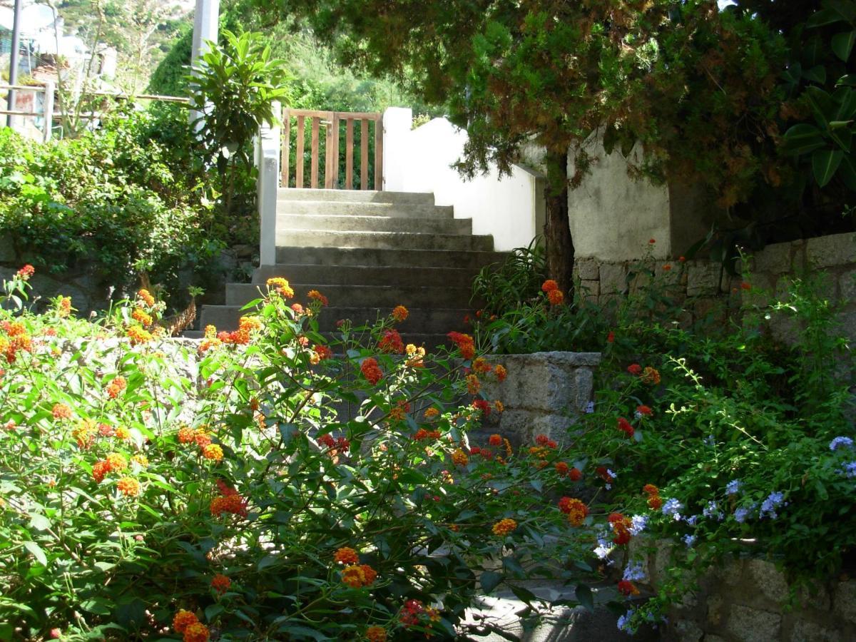 Appartamento Il Nespolo Pomonte Exterior foto